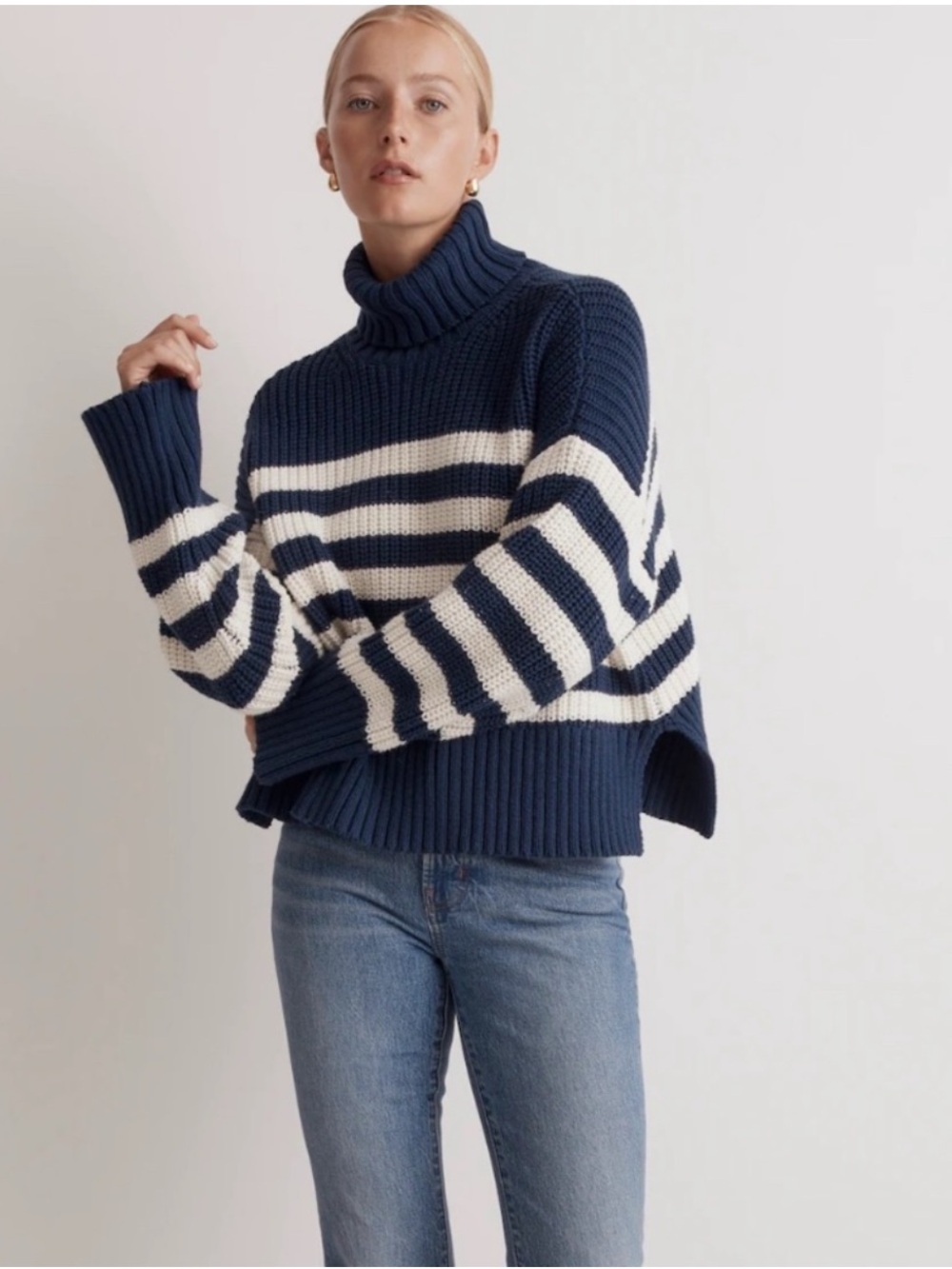 Madewell Navy and White Striped Turtleneck Sweater